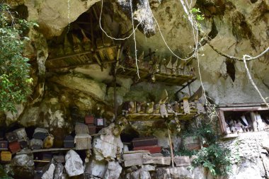 Coffins and graves were placed in rock cliffs. This method is a tradition used as a grave for people who died in the Tana Toraja tribe, Sulawesi