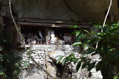 Wooden statue representing the deceased who is placed on rock cliffs. This method is a tradition used as a grave for people who died in the Tana Toraja tribe, Sulawesi