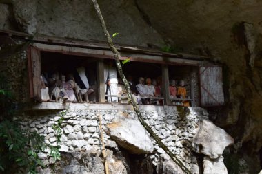 Wooden statue representing the deceased who is placed on rock cliffs. This method is a tradition used as a grave for people who died in the Tana Toraja tribe, Sulawesi