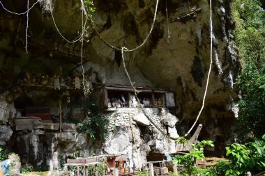 Wooden statue representing the deceased who is placed on rock cliffs. This method is a tradition used as a grave for people who died in the Tana Toraja tribe, Sulawesi