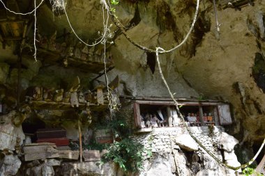 Wooden statue representing the deceased who is placed on rock cliffs. This method is a tradition used as a grave for people who died in the Tana Toraja tribe, Sulawesi