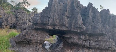 Natural Landscape of Indonesia. Green trees in forest. Day time photo
