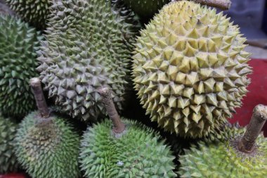 Durian fruit on display at a local roadside hawker stall