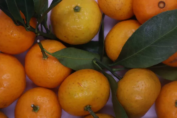 Fresh Sicilian orange,  mandarin with green leaves on white background.