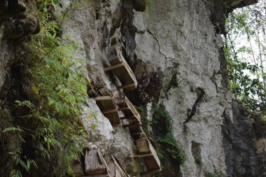Coffins and graves were placed in rock cliffs. This method is a tradition used as a grave for people who died in the Tana Toraja tribe, South Sulawesi, Indonesia