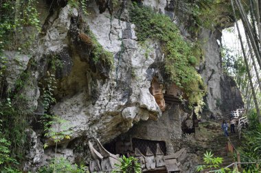 Coffins and graves were placed in rock cliffs. This method is a tradition used as a grave for people who died in the Tana Toraja tribe, South Sulawesi, Indonesia