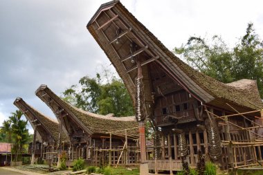 Tongkonan and traditional houses in Kete Kesu Village. Tongkonan, this is a house for corpses. Location near Rantepao Tana Toraja, South Sulawesi, Indonesia.