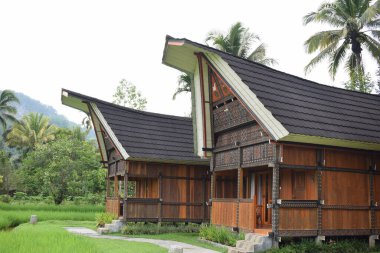 Tongkonan geleneksel evleri ve Kuzey Toraja turizm sahalarındaki doğal manzaralar. Endonezya 'nın doğal güzelliği