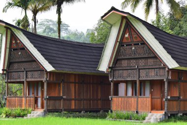 Tongkonan geleneksel evleri ve Kuzey Toraja turizm sahalarındaki doğal manzaralar. Endonezya 'nın doğal güzelliği