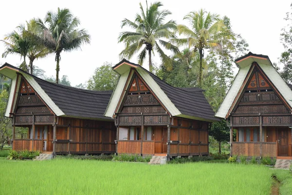 Tongkonan Παραδοσιακά Σπίτια Και Φυσικό Τοπίο Στη Βόρεια Toraja Τουριστικά — Φωτογραφία Αρχείου