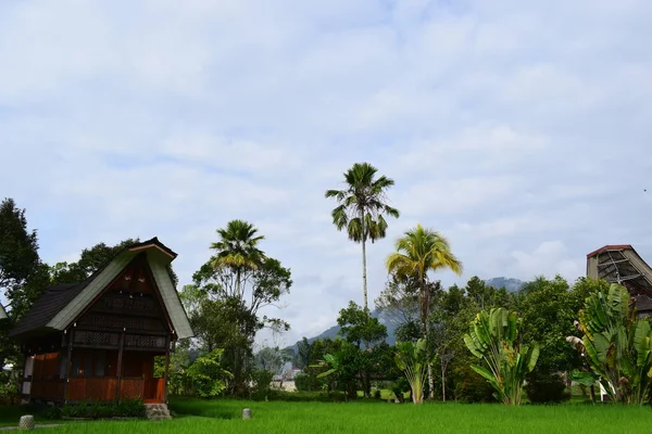 Casas Tradicionais Tongkonan Paisagens Naturais Sítios Turísticos Toraja Norte Beleza — Fotografia de Stock