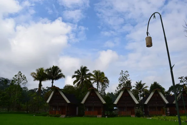 Tongkonan Geleneksel Evleri Kuzey Toraja Turizm Sahalarındaki Doğal Manzaralar Endonezya — Stok fotoğraf
