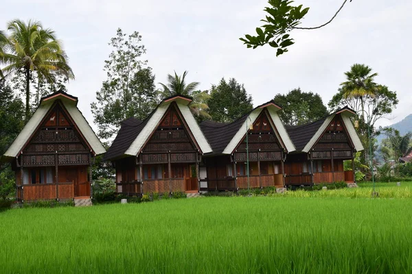 Tongkonan Case Tradizionali Paesaggi Naturali Nei Siti Turistici North Toraja — Foto Stock