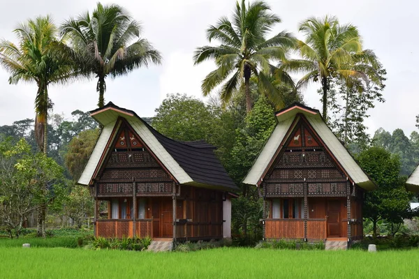 Tongkonan Tradycyjnych Domów Naturalnych Krajobrazów Północnych Toraja Atrakcji Turystycznych Naturalne — Zdjęcie stockowe