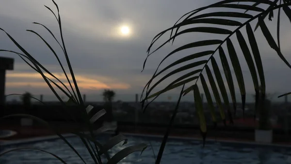 Zachód Słońca Godzinach Wieczornych Sylwetką Liści Palmowych — Zdjęcie stockowe