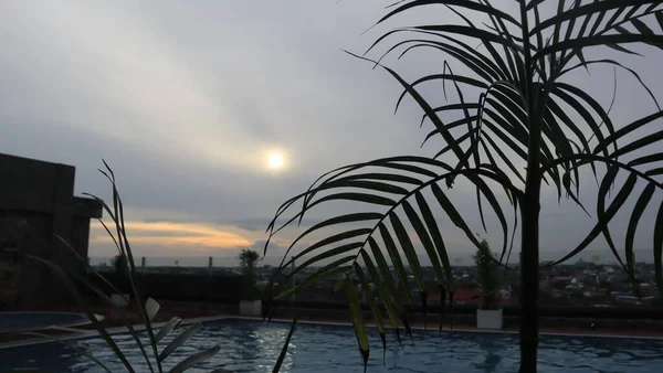 Захід Сонця Вечірній Час Силуетним Пальмовим Листом — стокове фото