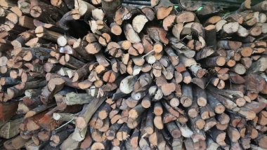 Arka bahçede çok odun var.