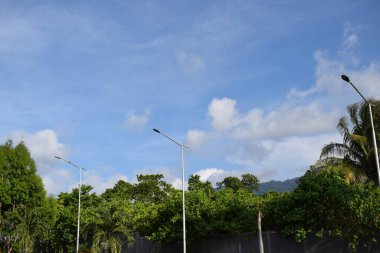 Düşük açılı mavi gökyüzü, kabarık beyaz bulutlar, güzel bir ağacın canlı yeşil yapraklarını gösteriyor..