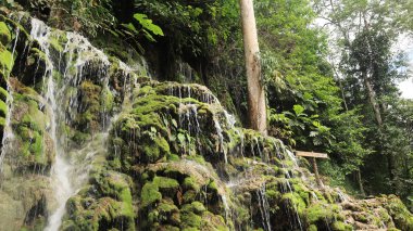 Malili 'de Şelale, Güney Sulawesi, Endonezya. Şelale doğal arka planı ve pürüzsüz su akışı hareketi.