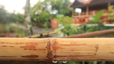 Soyut bulanık bokeh doğa arka planının önündeki boş kahverengi bambu gövdesi. Ürünlerinizi görüntülemek veya montajlamak için kullanılabilir. Boşluk için düzenle.