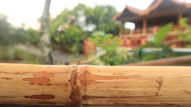 Soyut bulanık bokeh doğa arka planının önündeki boş kahverengi bambu gövdesi. Ürünlerinizi görüntülemek veya montajlamak için kullanılabilir. Boşluk için düzenle.