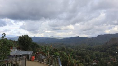 Natural Landscape of Indonesia. Green trees in forest. Day time photo