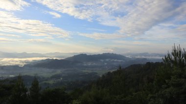 Natural Landscape of Indonesia. Green trees in forest. Day time photo