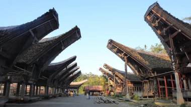 Tongkonan and traditional houses in Kete Kesu Village. Tongkonan, this is a house for corpses. Location near Rantepao Tana Toraja, South Sulawesi, Indonesia.