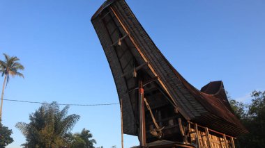 Tongkonan and traditional houses in Kete Kesu Village. Tongkonan, this is a house for corpses. Location near Rantepao Tana Toraja, South Sulawesi, Indonesia.