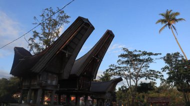 Tongkonan and traditional houses in Kete Kesu Village. Tongkonan, this is a house for corpses. Location near Rantepao Tana Toraja, South Sulawesi, Indonesia.