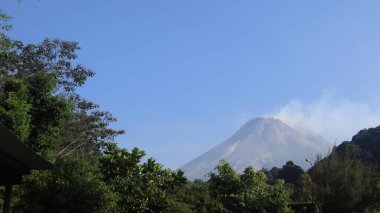 Endonezya 'daki Merapi Dağı' nın çevresindeki tropik ormanların havadan görünüşü.