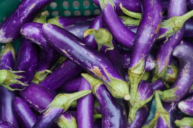 Satılık patlıcan meyvesi, mor meyve.