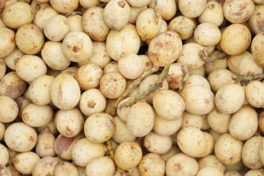 Langsat meyvesi (Lansium domesticum Corr) satışa sunuldu