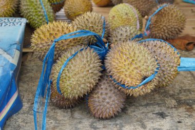 Durian fruit on display at a local roadside hawker stall
