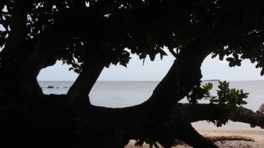 Sahilin atmosferini gölgeleyen ağaçlar.