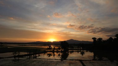 Arkasında Endonezya pirinç tarlaları olan dağlarda gün batımı, çok güzel bir manzara..