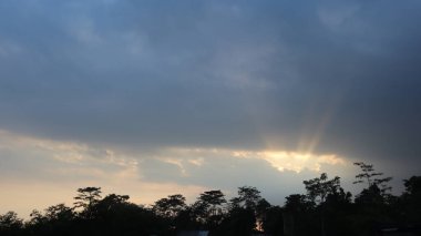 Natural Landscape of Indonesia. Green trees in forest. Day time photo