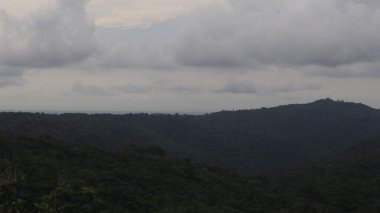 Natural Landscape of Indonesia. Green trees in forest. Day time photo