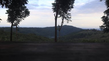 Natural Landscape of Indonesia. Green trees in forest. Day time photo
