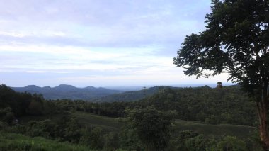 Natural Landscape of Indonesia. Green trees in forest. Day time photo