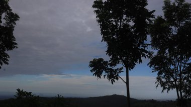 Natural Landscape of Indonesia. Green trees in forest. Day time photo