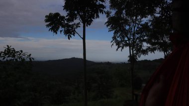 Natural Landscape of Indonesia. Green trees in forest. Day time photo
