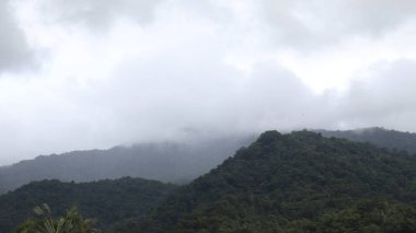 Endonezya kırsalında pirinç tarlalarının sararmış görüntüsü. Arkaplanda dağlar