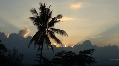 Yoğun karanlık bulutları delip geçen, tropikal ormanları ve uzak dağları aşan güneş ışınlarıyla dramatik bir manzara. Umut, barış, doğa ve maneviyat teması için ideal..