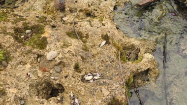 Nehirdeki kayanın resmini kapat.