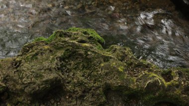 Nehirdeki kayanın resmini kapat.