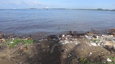 Plajda çöp, odun ve plastik. Dalgalar