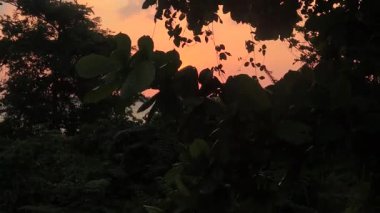 Sahilde güzel bir gün batımı Muhteşem manzarası ve güzel gökyüzü