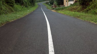 Yol ayırıcının düşük açılı fotoğrafı, ağaçlı yeşil yolun kenarı..