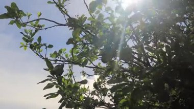 Rammang-Rammang parkındaki güzel manzara, Makassar, Güney Sulawesi, Endonezya yakınlarındaki karting kaya alanı.